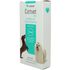 CORTVET-PET-05MG-COM-20-COMPRIMIDOS-PARA-CAES-UCBVET9 CORTVET-PET-05MG-COM-20-COMPRIMIDOS-PARA-CAES-UCBVET9