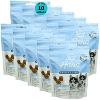 Kit-10-Hana-Healthy-Life-Puppy-Growth-Suporte-de-Crescimento-Snacks-Para-Caes-Filhotes-80g