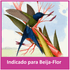 Alcon-Club-Beija-Flor-600g-7896108804403-8