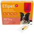 Efipet-Caes-9-a-24kg-4ml-7898031813552-1
