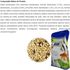 ALCON-CLUB-PSITA-MIX-5KG-PARA-PSITACIDEOS-KIT-COM-26