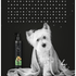 MASCARA-RESTAURADORA-230G-4-GROOMER-7898031812395-9