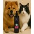 MASCARA-TRATAMENTO-10-230G-4-GROOMER-PROFISSIONAL-IBASA-PARA-CAES-E-GATOS4 MASCARA-TRATAMENTO-10-230G-4-GROOMER-PROFISSIONAL-IBASA-PARA-CAES-E-GATOS4