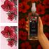 PERFUME-FIORE-500ML-4-GROOMER-IBASA-PARA-CAES-E-GATOS5