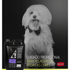 SHAMPOO-NEUTRO-5LT-4-GROOMER-7898031813811-7