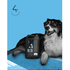 SHAMPOO-ANTIPULGAS-5LT-4-GROOMER-7898831811251-4