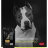 SHAMPOO-EFEITO-GLOSS-5LT-4-GROOMER-7898031813422-9