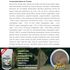 ALCON-BASIC-BITS-30G-PARA-PEIXES-TROPICAIS-KIT-COM-105