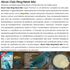 ALCON-CLUB-RING-NECK-MIX-550G-KIT-COM-54