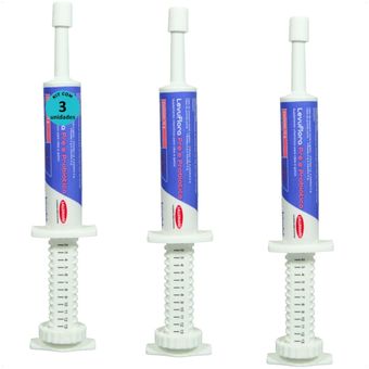 LEVUFLORA-PRE-E-PROBIOTICO-14G-PARA-CAES-E-GATOS-SABOR-CARNE-KIT-COM-31 LEVUFLORA-PRE-E-PROBIOTICO-14G-PARA-CAES-E-GATOS-SABOR-CARNE-KIT-COM-31