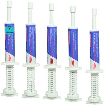 LEVUFLORA-PRE-E-PROBIOTICO-14G-PARA-CAES-E-GATOS-SABOR-CARNE-KIT-COM-51 LEVUFLORA-PRE-E-PROBIOTICO-14G-PARA-CAES-E-GATOS-SABOR-CARNE-KIT-COM-51