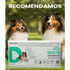 TAPETE-DOGS-CARE-ECO-82X60-COM-30-UNID-7898589930275-5