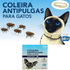COLEIRA-BULLCAT----7891126001452-9