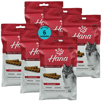 Kit-6-Hana-Vita-Joint-Caes-100g-7898959982231