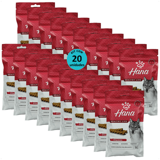 Kit-20-Hana-Vita-Joint-Caes-100g-7898959982231