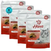 SNACK-HANA-HEALTHY-LIFE-VITAGUARD-CATS-PARA-GATOS-ADULTOS-60G-KIT-COM-41
