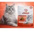 SNACK-HANA-HEALTHY-LIFE-VITAGUARD-CATS-PARA-GATOS-ADULTOS-60G-KIT-COM-58