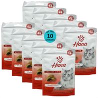 SNACK-HANA-HEALTHY-LIFE-VITAGUARD-CATS-PARA-GATOS-ADULTOS-60G-KIT-COM-101