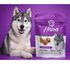 SNACK-HANA-HEALTHY-LIFE-VITAGUARD-DOGS-PARA-CAES-ADULTOS-80G-KIT-COM-58
