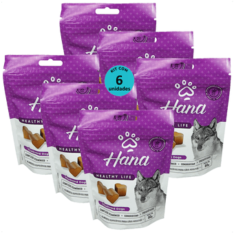 Kit-6-Hana-Vita-Guard-Dogs-Caes-80g
