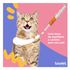 PROBIOTICO-PARA-CAES-E-GATOS-COM-14G-BIOVET3