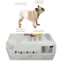 dog-s-care-faixa-absorvente-para-eles-com-6-unid-G-7