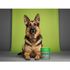 DOGS---HEALTH-SUPLEMENTO-PARA-CAES-IMUNIDADE-45G-COM-30-TABLETES-DOGS-CARE6