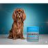DOGS---HEALTH-SUPLEMENTO-PARA-CAES-MULTIVITAMINICO-SENIOR-45G-COM-30-TABLETES-DOGS-CARE6