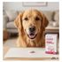 CISPET-MUNDO-ANIMAL-30-COMPRIMIDOS-SUPLEMENTO-PARA-CAES-E-GATOS-VITAMINAS-E-SUPORTE-NUTRICIONAL-PET3