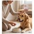 CISPET-MUNDO-ANIMAL-30-COMPRIMIDOS-SUPLEMENTO-PARA-CAES-E-GATOS-VITAMINAS-E-SUPORTE-NUTRICIONAL-PET10