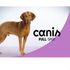 ANTIPULGAS-E-VERMIFUGO-CANIS-FULLSPOT-CAES-DE-11-A-25KG6