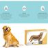 ANTIPULGAS-E-VERMIFUGO-CANIS-FULLSPOT-CAES-DE-26-A-40KG-400ML-KIT-COM-63