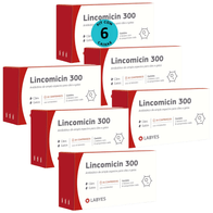 Kit-6-Lincomicin-300-Labyes