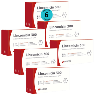 Kit-6-Lincomicin-300-Labyes