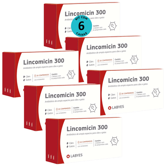Kit-6-Lincomicin-300-Labyes