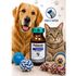 FLOBIOTIC-ENROFLOXACINO-INJETAVEL-5--SYNTEC-COM-10ML PARA-CAES-E-GATOS9