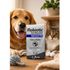 FLOBIOTIC-ENROFLOXACINO-INJETAVEL-5--SYNTEC-COM-10ML PARA-CAES-E-GATOS10