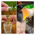 ALCON-LABCON-CLUB-VITA-PROBIOTICO-AVES-ORNAMENTAIS-KIT-COM-63
