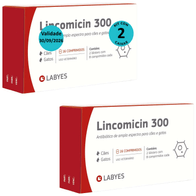 Kit-2-Lincomicin-300-Labyes-VAL-30092026