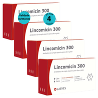 Kit-4-Lincomicin-300-Labyes-VAL-30092026