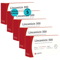 Kit-5-Lincomicin-300-Labyes-VAL-30062026