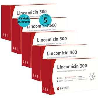Kit-5-Lincomicin-300-Labyes-VAL-30062026